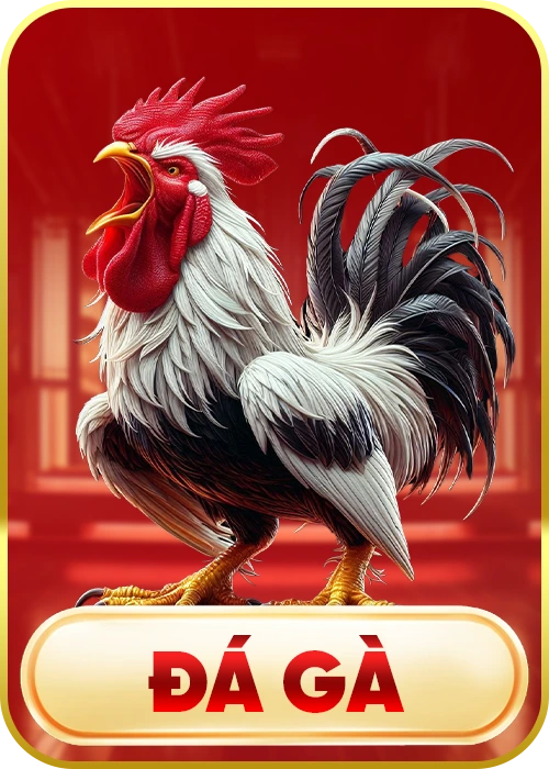 đá gà