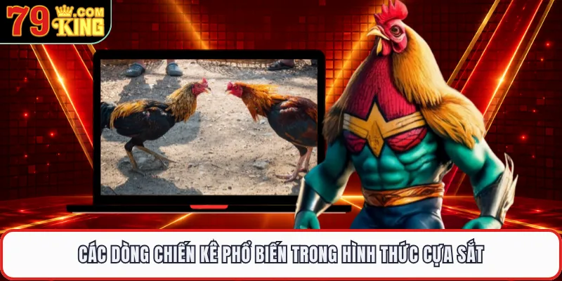 Các dòng chiến kê phổ biến trong hình thức cựa sắt 