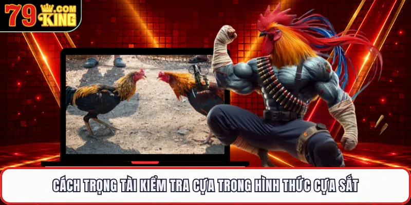Cách trọng tài kiểm tra cựa trong hình thức cựa sắt 