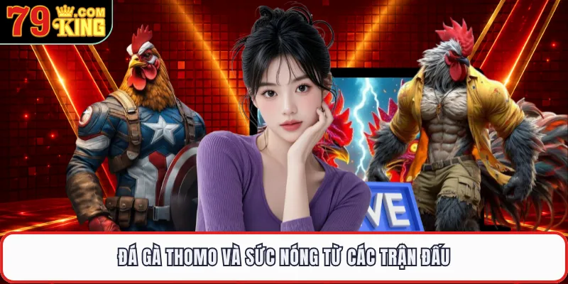 Đá gà thomo và sức nóng từ các trận đấu 
