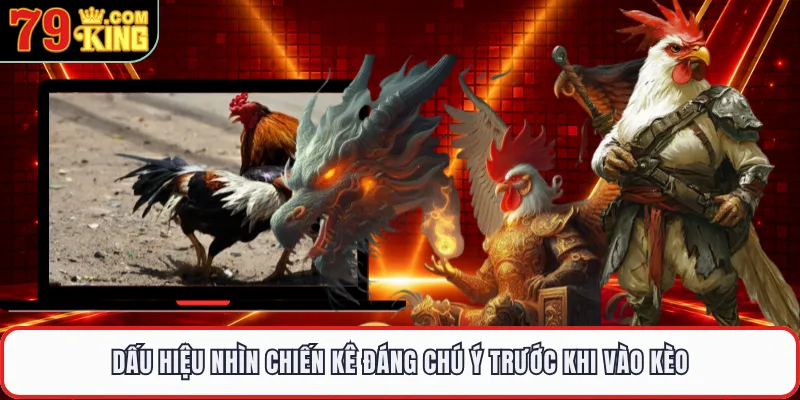 Dấu hiệu nhìn chiến kê đáng chú ý trước khi vào kèo 