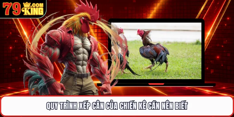 Quy trình xếp cân của chiến kê cần nên biết 