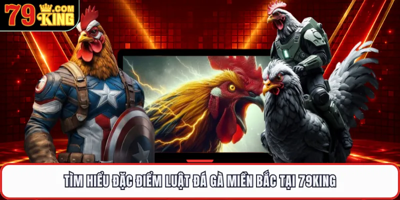 Tìm hiểu đặc điểm luật đá gà miền Bắc tại 79KING